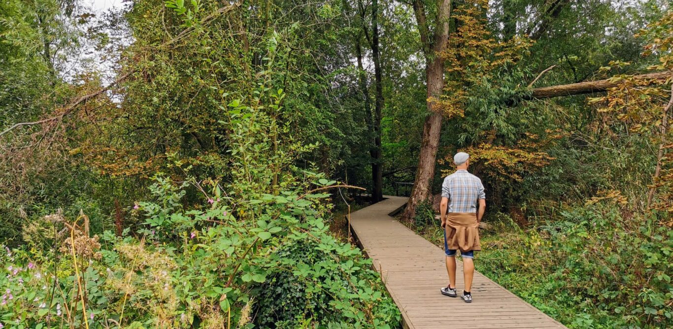 Man walking on a board walk through foliage