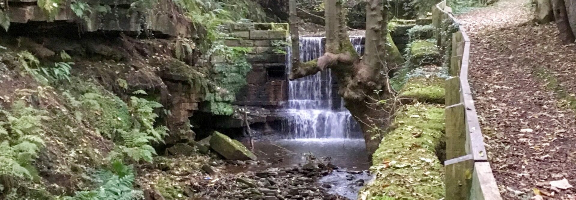 Waterfall on Holcombe Brook
