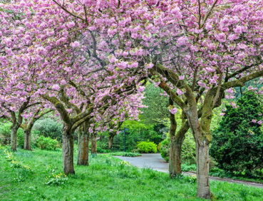 Fletcher Moss Park and Gardens