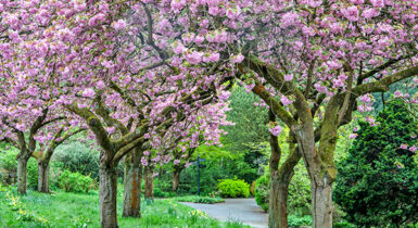 Fletcher Moss Park and Gardens
