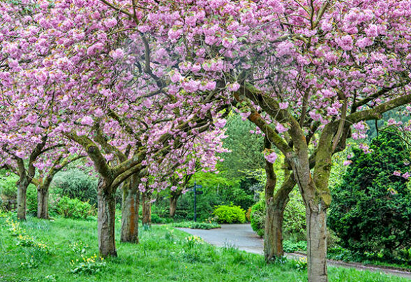 Fletcher Moss Park and Gardens