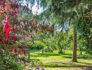 marie louise gardens