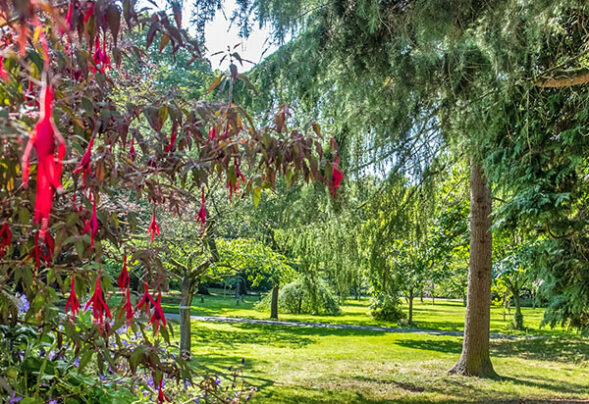 marie louise gardens