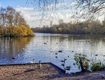 Sale Water Park on stage 2 of the gm ringway