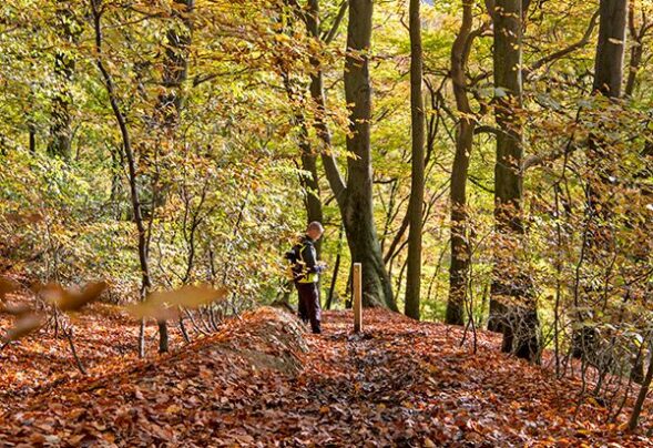 Redisher Wood