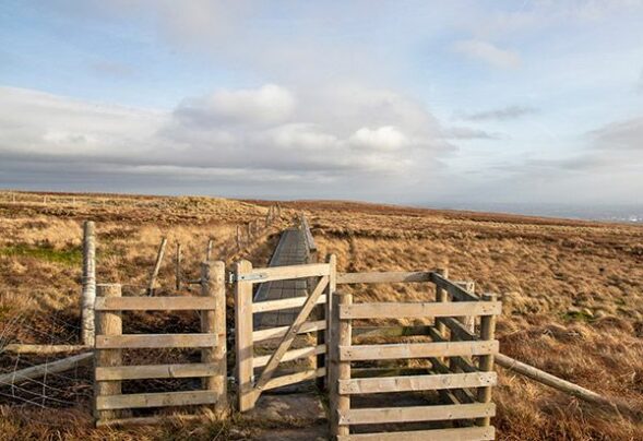 Winter Hill