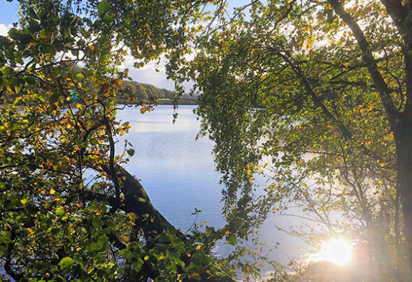 Worthington Lakes