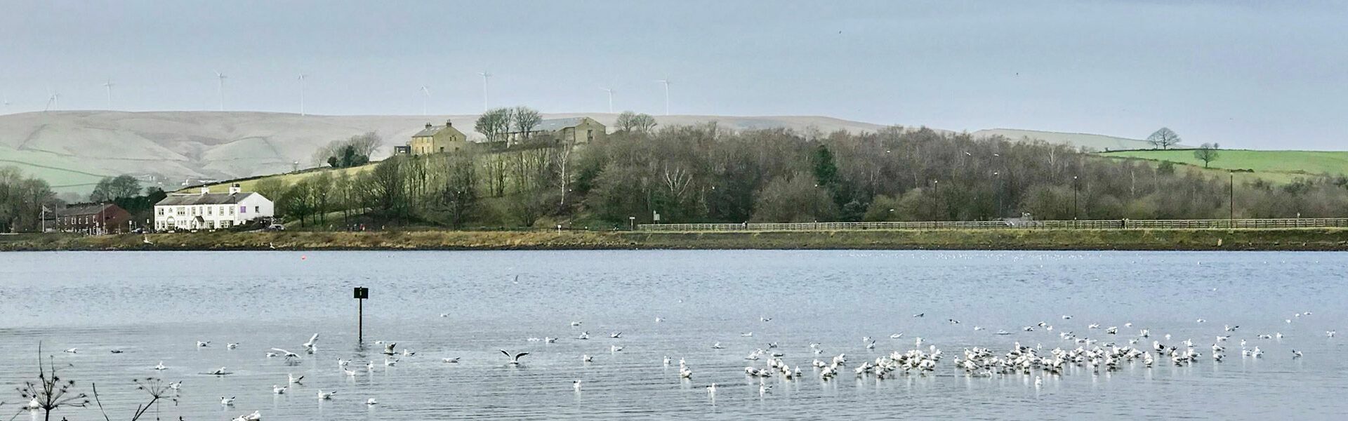 Sleuth & Stride Trail Hollingworth Lake