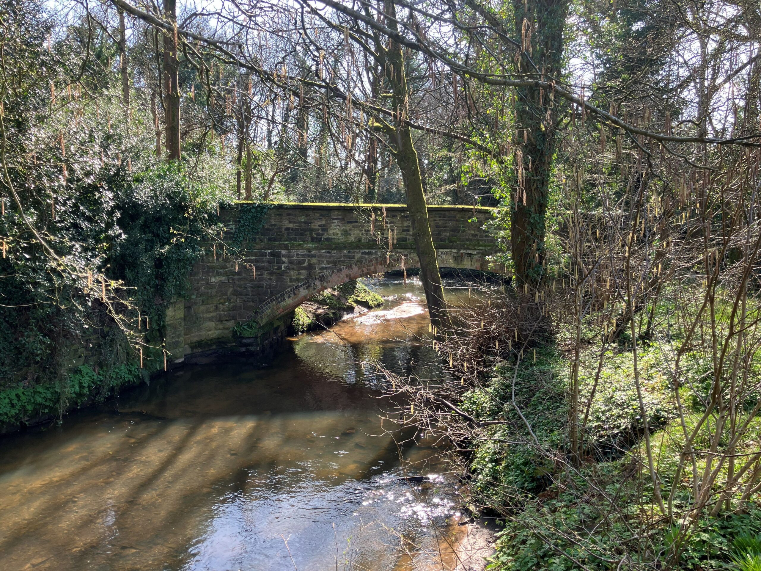 Trail Archives - GM Ringway